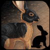 Icon avatar of a black Tan rabbit.