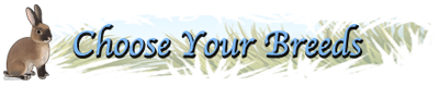 Choose Your Breeds Choose Your Breeds banner