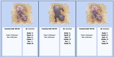 Screenshot of newborn kits.