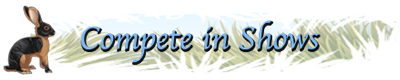 Compete in Shows Compete in Shows banner