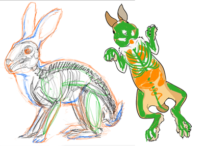 Drawings showing the skeleton inside of a rabbit.