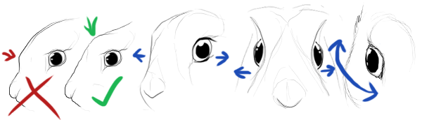 Drawings of improper humanized eyes versus proper bunny eyes.