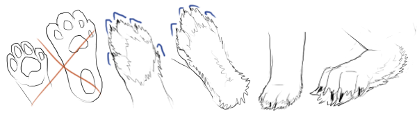 Drawings of improper pink footpads and proper furry footpads.