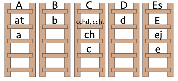 Five ladders for genes with ordered alleles: A, at, a in A gene; B, b in B gene; 
C, cchd & cchl, ch, c in C gene; D, d in D gene; Es, E, ej, e in E gene.